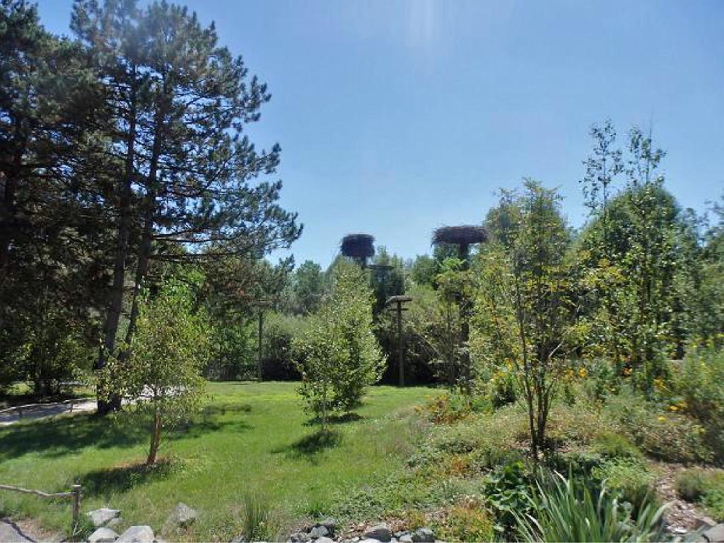 101PARC AUX OISEAUX DANS L AIN 2016 1_000032.jpg